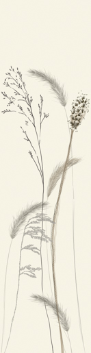 Marburger Tapete 63487 2,70 x 0,70 m Crush Motion DD 2025 verläng.2026